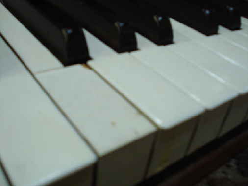 Missing ivory keytop Missing ivory keytop